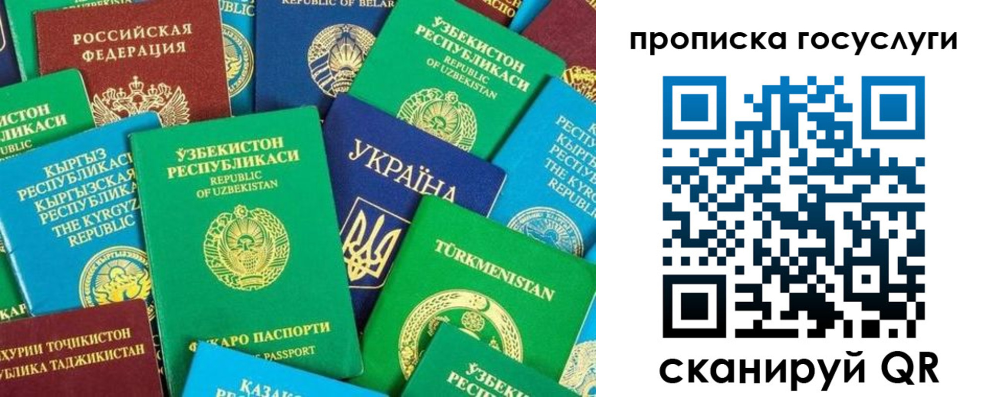 прописка в Рубцовске